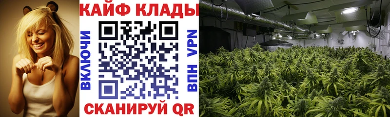 Купить наркотик Покачи МАРИХУАНА  Меф мяу мяу  кракен сайт  ГАШ  Кокаин  A PVP 