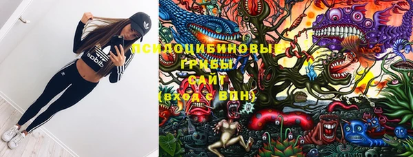 эйфоретик Абинск